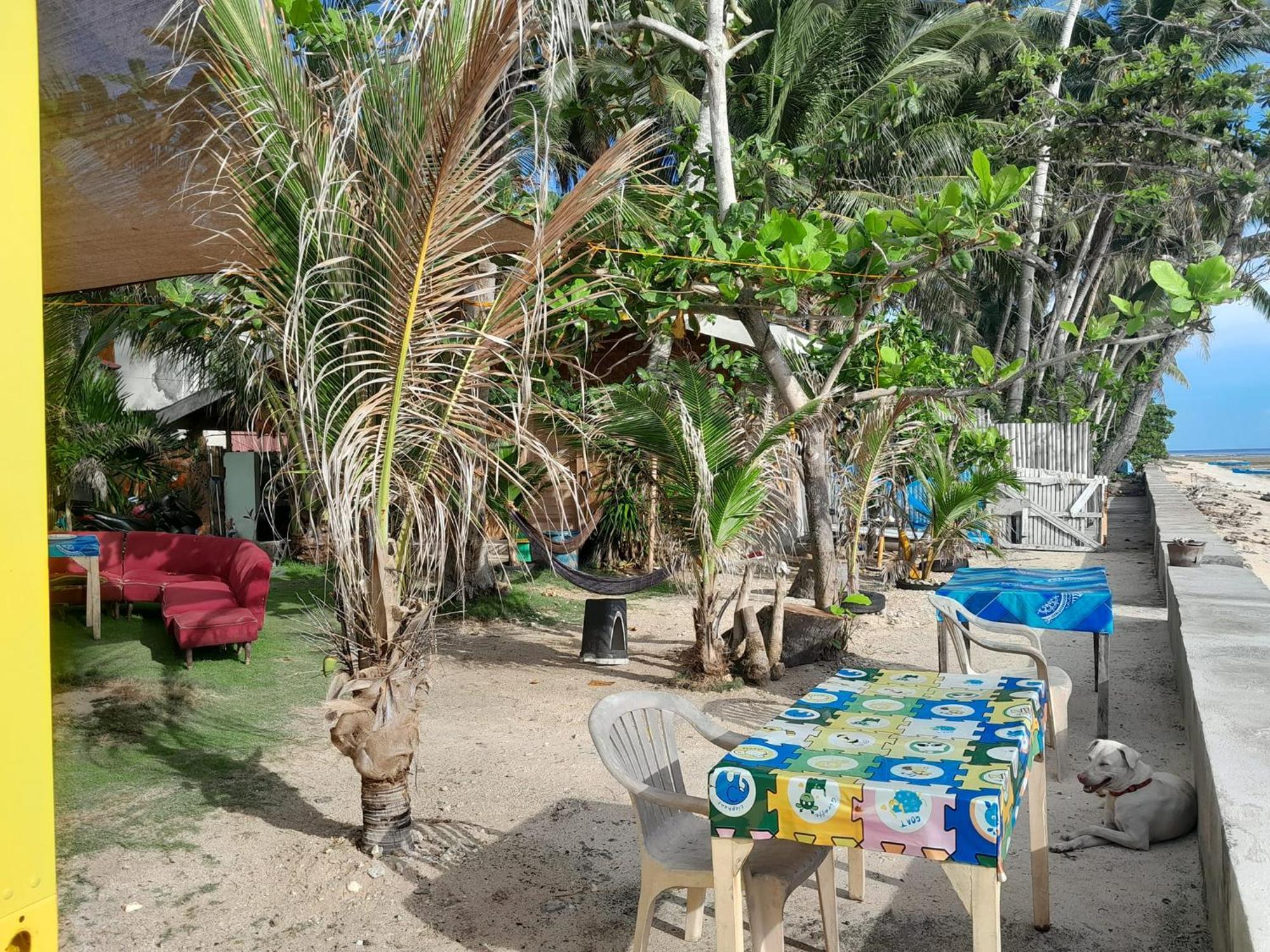 Enrico'S Guesthouse Siquijor Exteriör bild